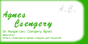 agnes csengery business card